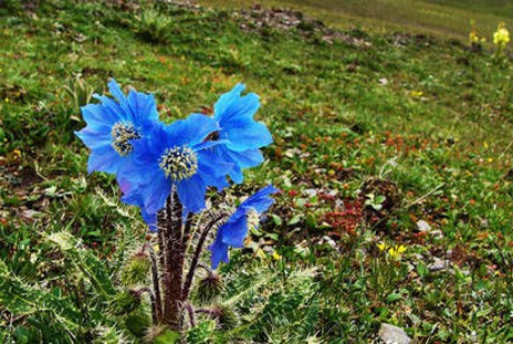 伟德bv国际体育