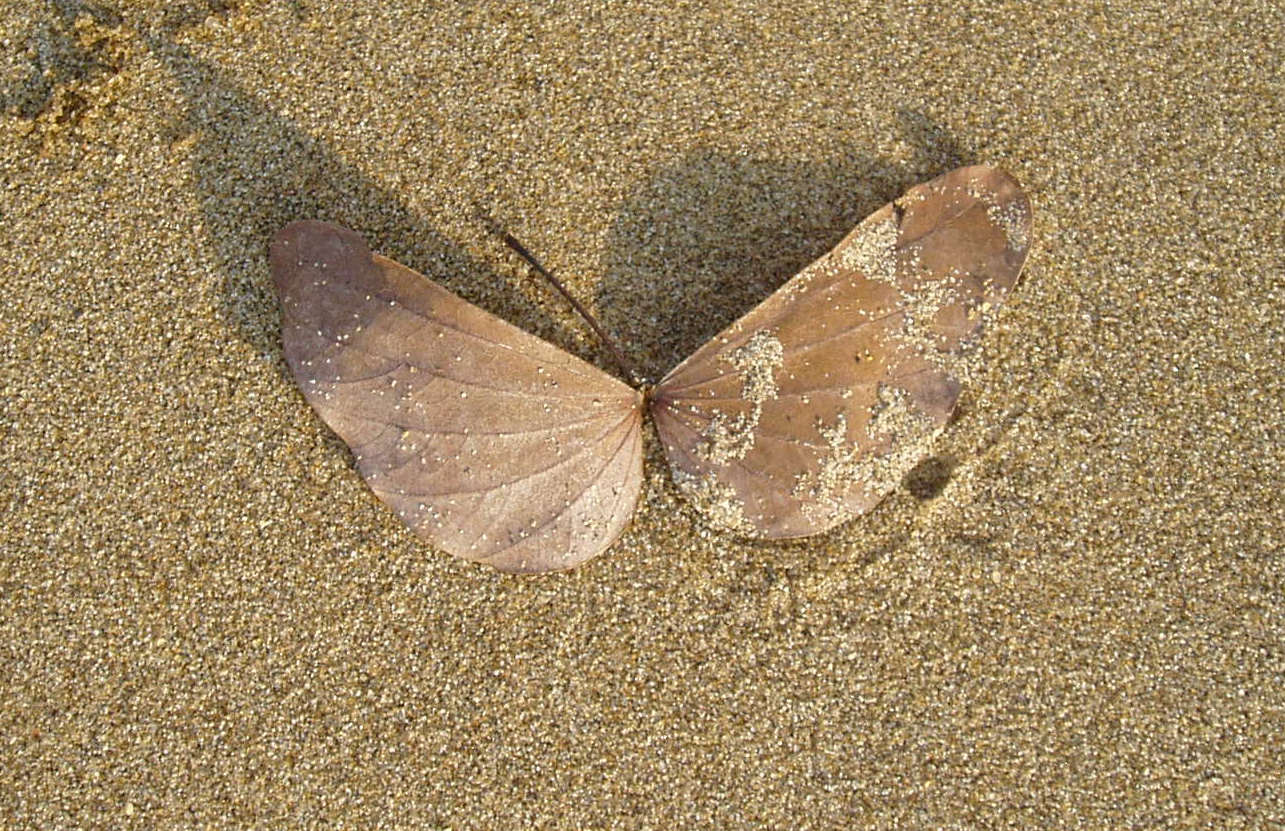 伟德bv国际体育