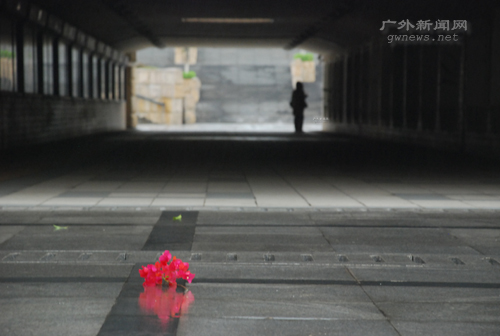 伟德bv国际体育