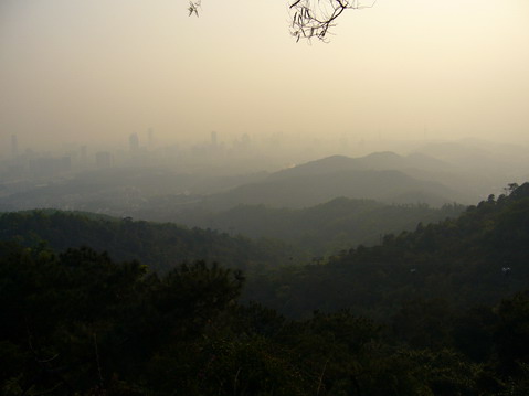 伟德bv国际体育