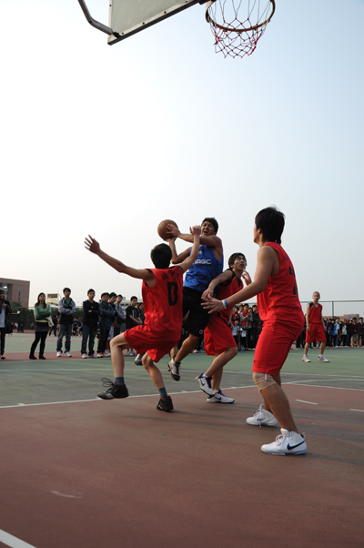 伟德bv国际体育