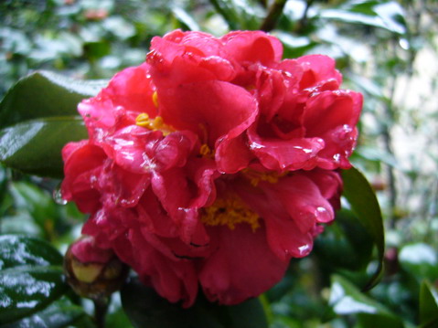 伟德bv国际体育