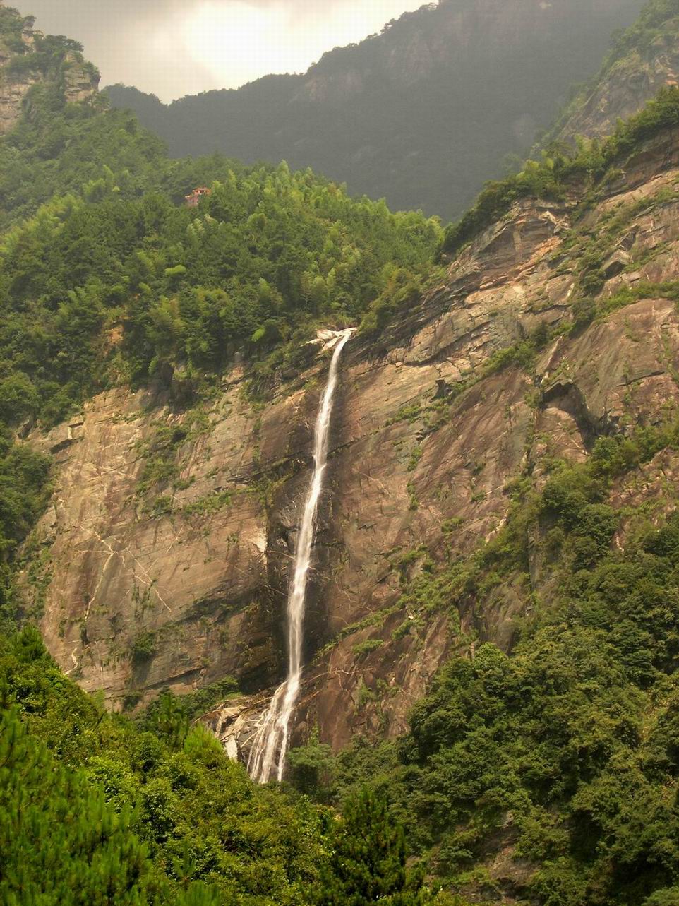 伟德bv国际体育