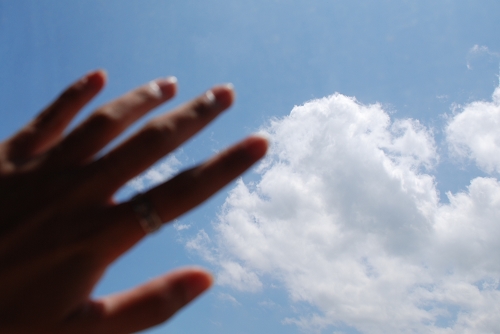 伟德bv国际体育