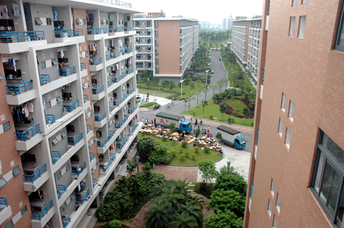 伟德bv国际体育