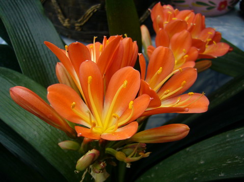 伟德bv国际体育