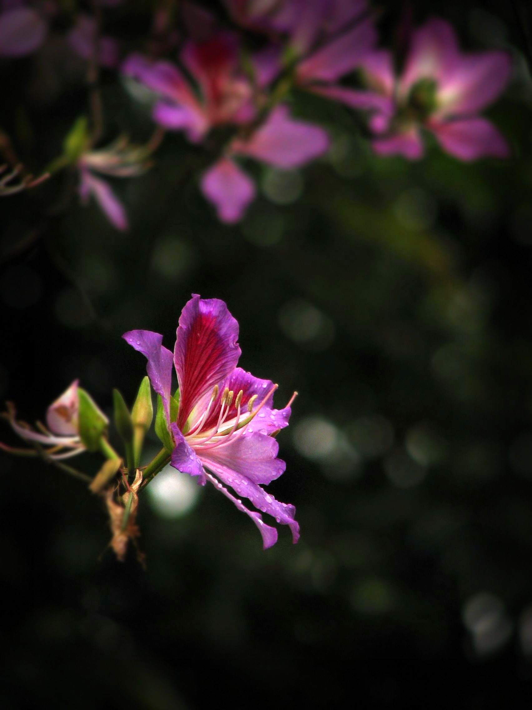 伟德bv国际体育