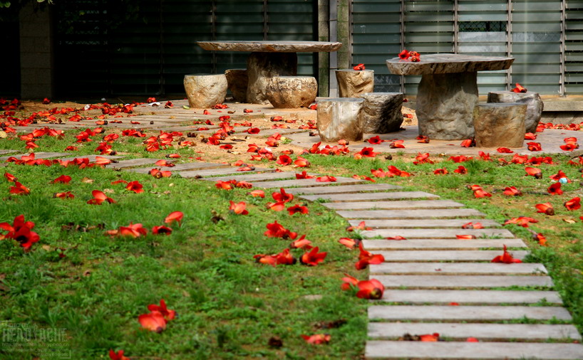 伟德bv国际体育