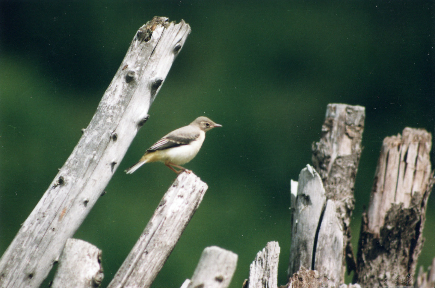 伟德bv国际体育