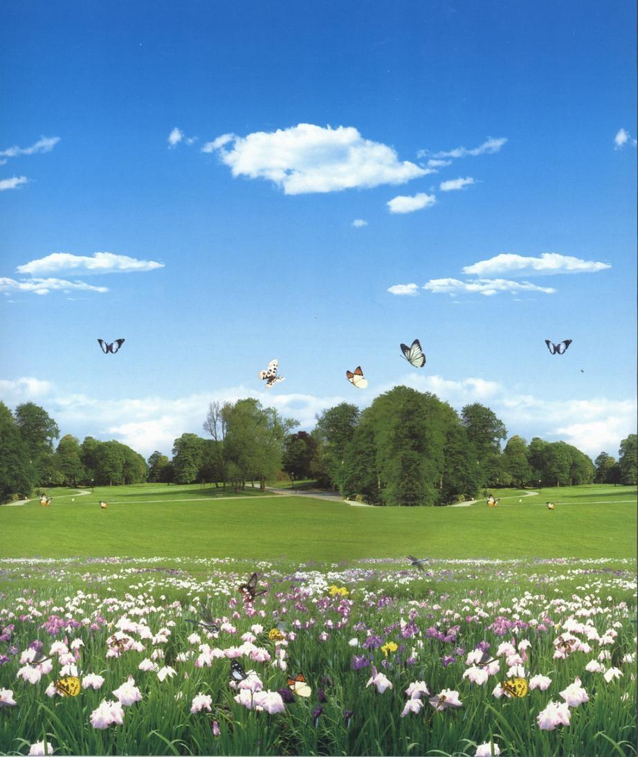 伟德bv国际体育