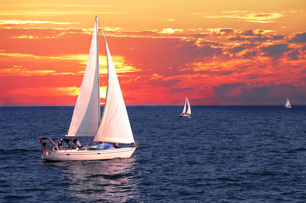 伟德bv国际体育