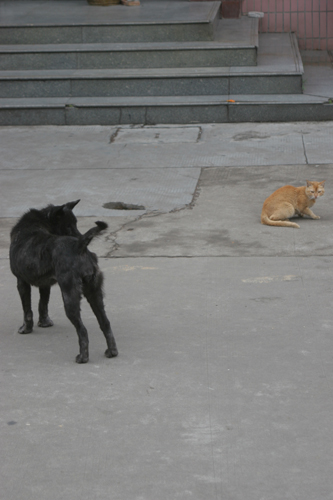 伟德bv国际体育