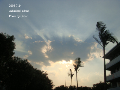 伟德bv国际体育