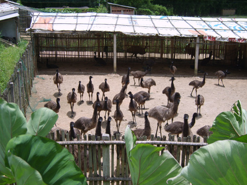 伟德bv国际体育