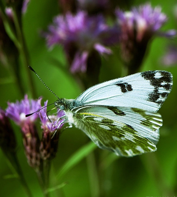伟德bv国际体育
