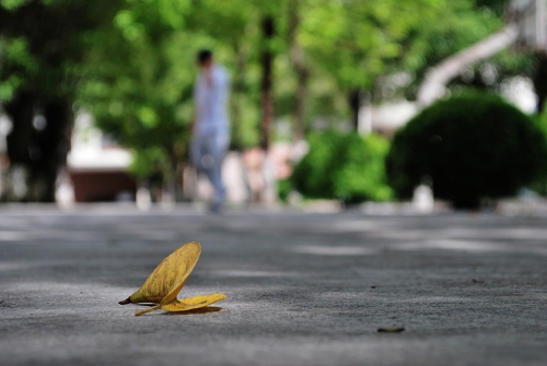 伟德bv国际体育