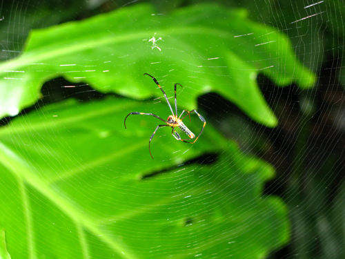 伟德bv国际体育