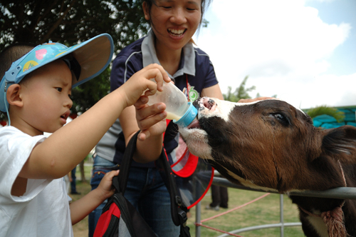 伟德bv国际体育