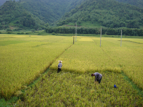 伟德bv国际体育