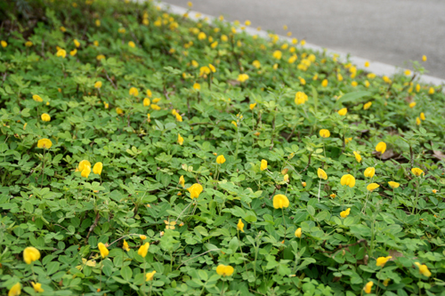 伟德bv国际体育