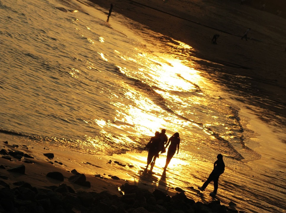 伟德bv国际体育