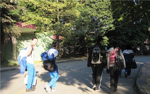 伟德bv国际体育