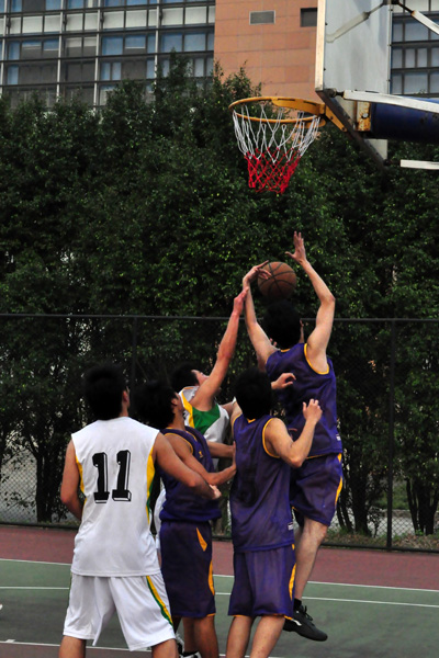 伟德bv国际体育