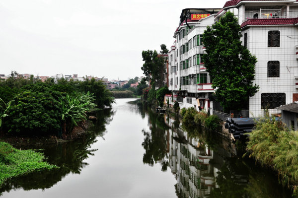 伟德bv国际体育