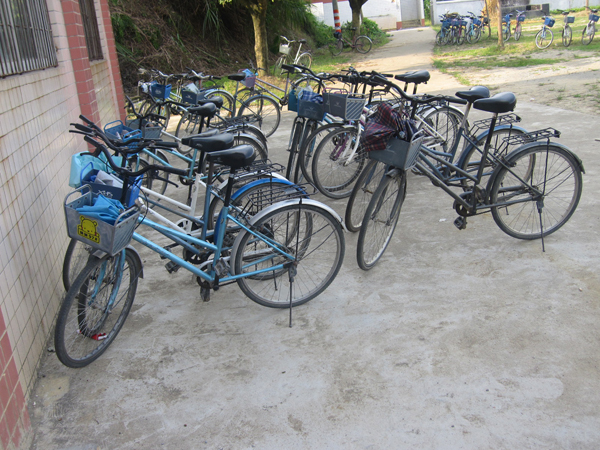 伟德bv国际体育