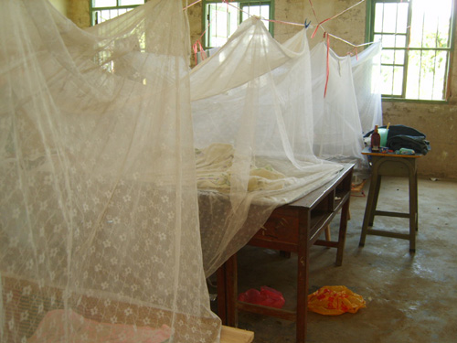 伟德bv国际体育