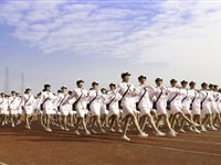 伟德bv国际体育