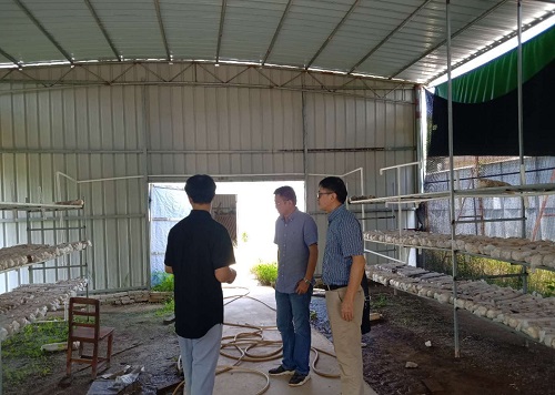 伟德bv国际体育