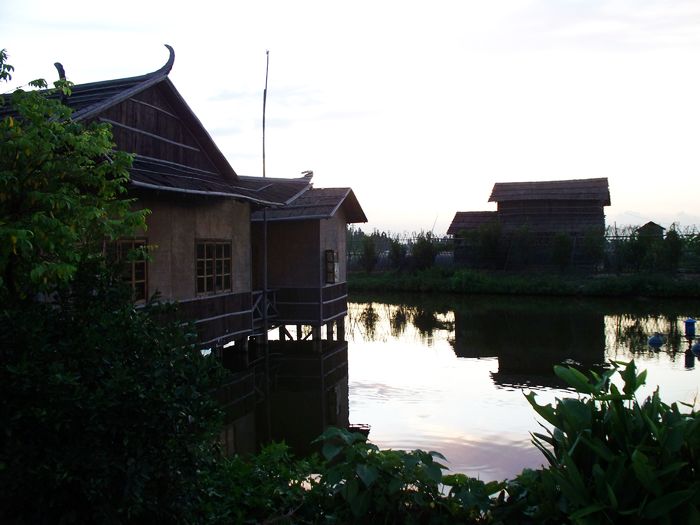 伟德bv国际体育