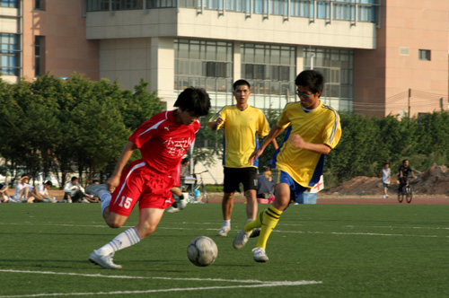 伟德bv国际体育