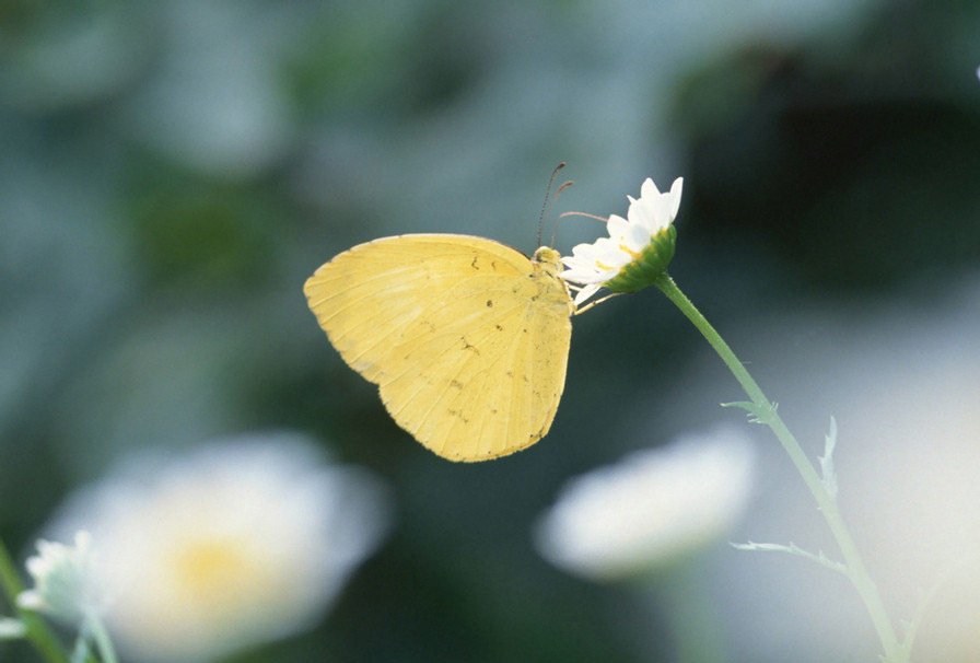 伟德bv国际体育