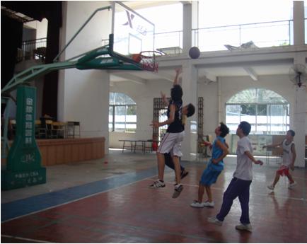 伟德bv国际体育