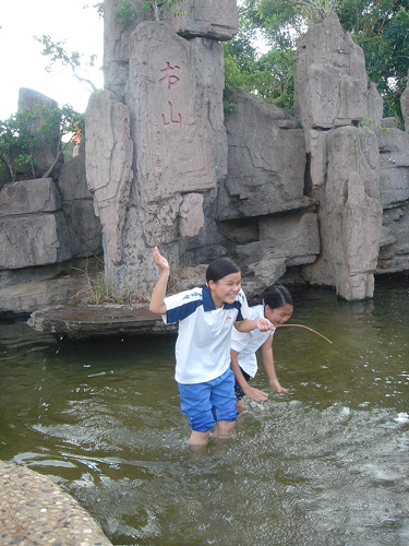 伟德bv国际体育