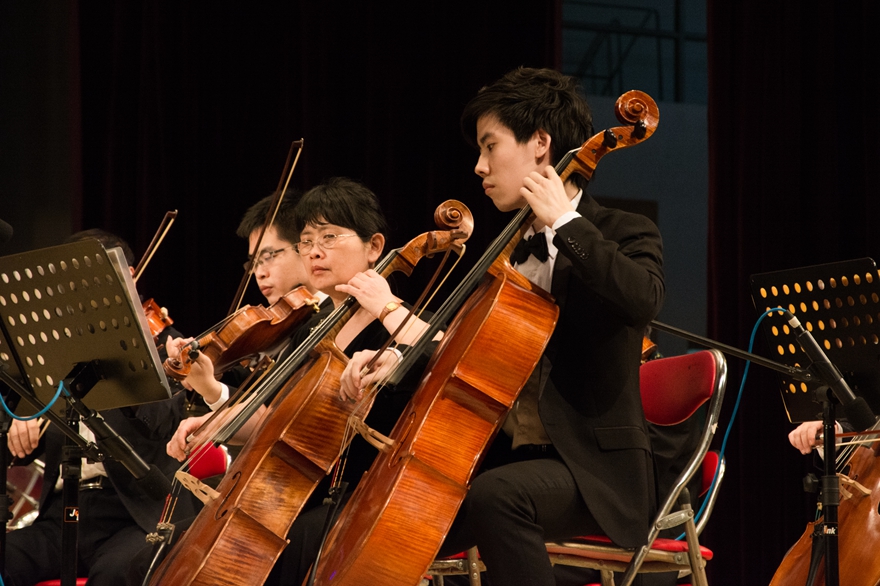 伟德bv国际体育