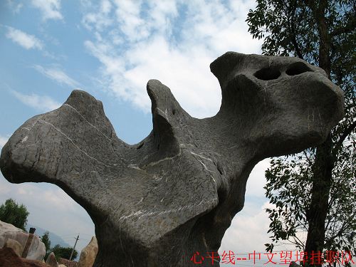 伟德bv国际体育