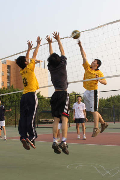 伟德bv国际体育