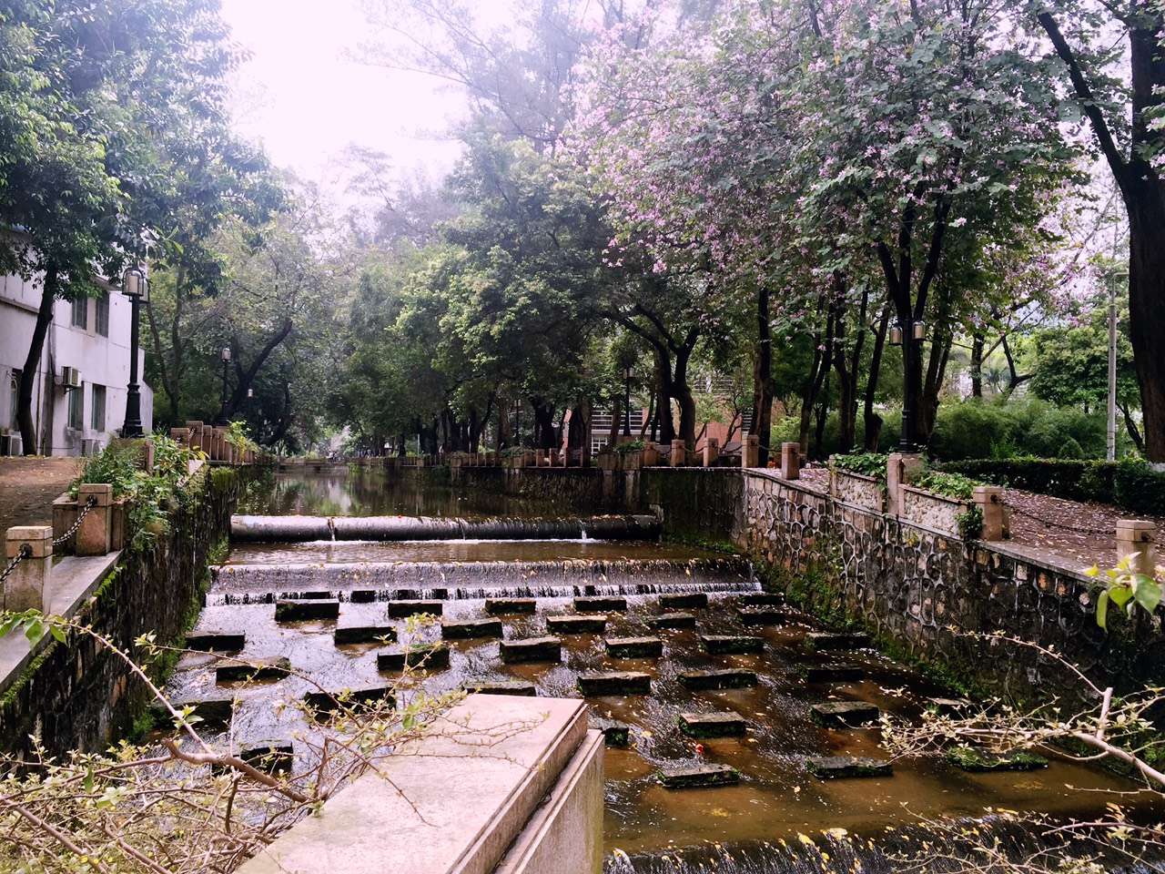 伟德bv国际体育