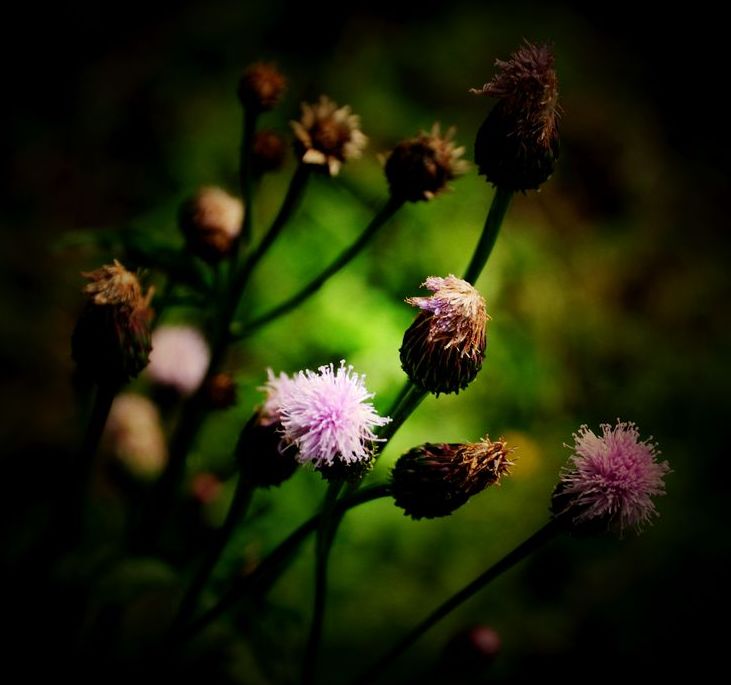 伟德bv国际体育