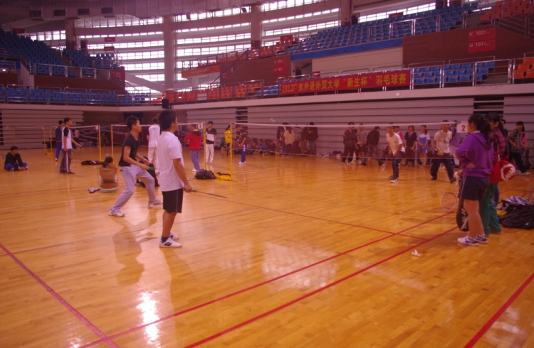 伟德bv国际体育