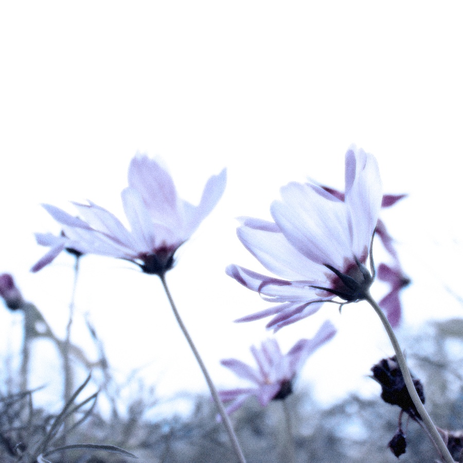 伟德bv国际体育