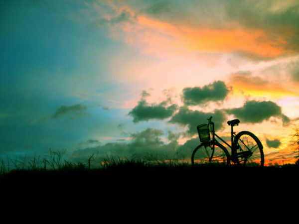 伟德bv国际体育