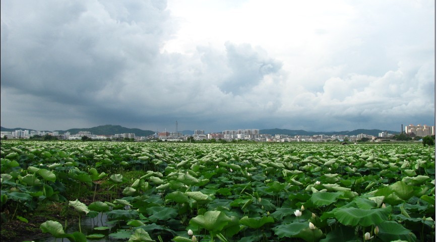 伟德bv国际体育