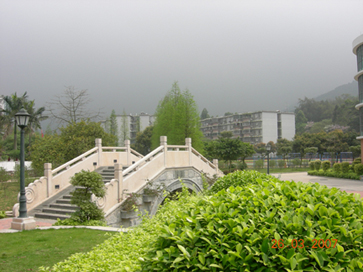 伟德bv国际体育