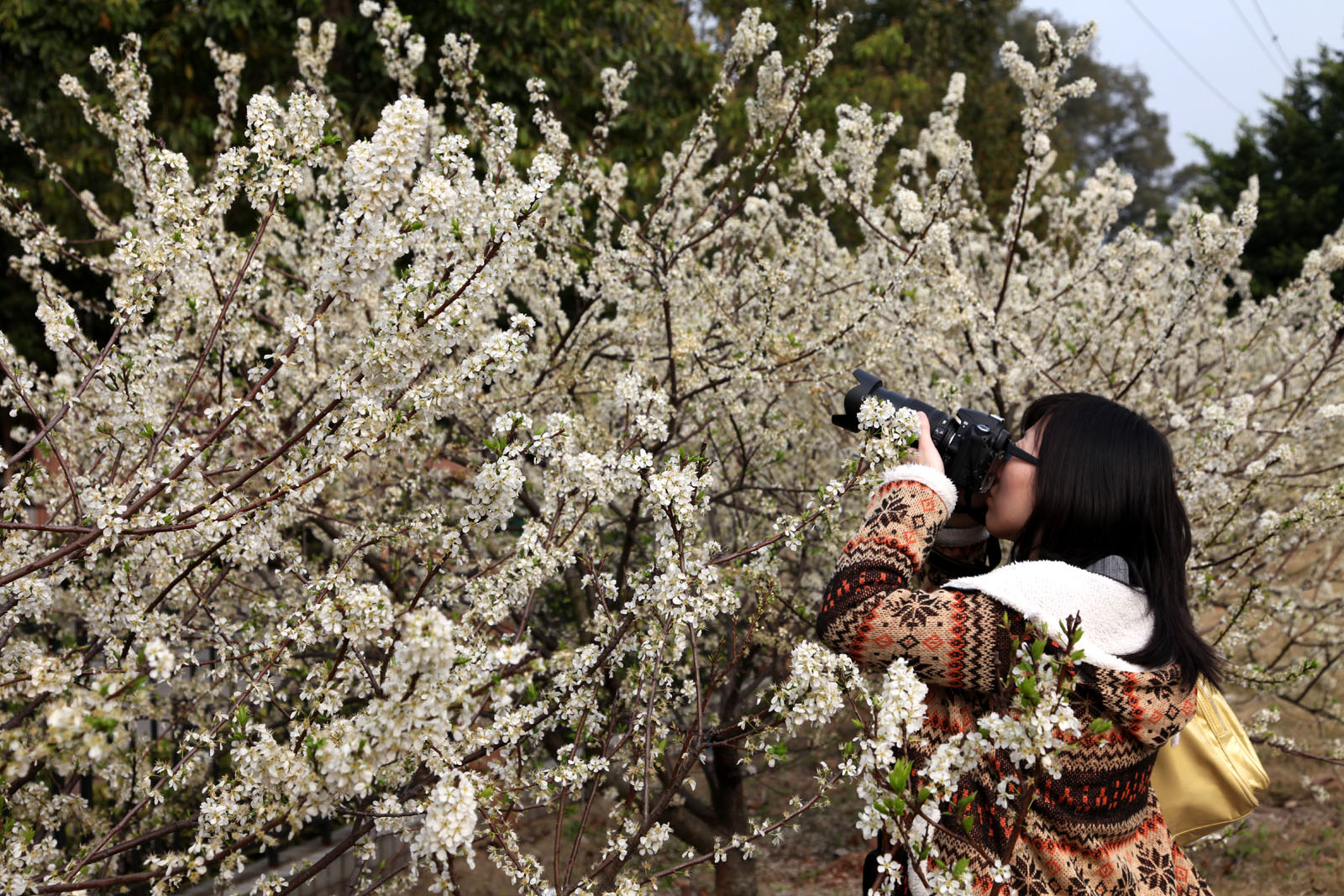 伟德bv国际体育