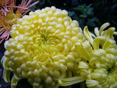 伟德bv国际体育