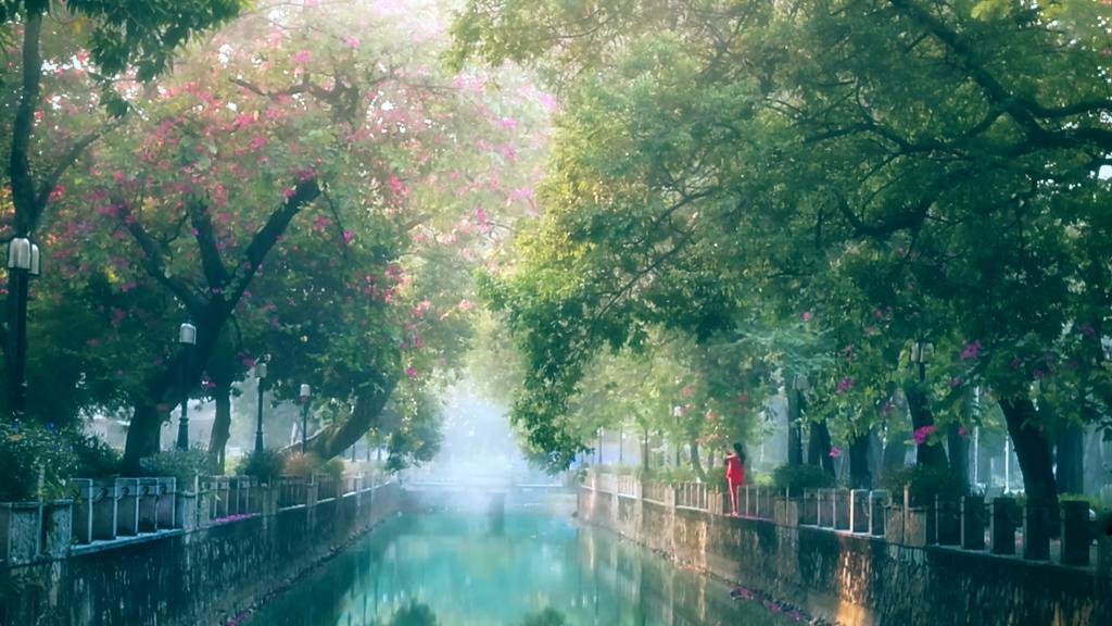 伟德bv国际体育